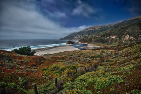 Bild-Nr: 10073393 Highway Nr.1 Flower Power - California Erstellt von: Lenco66