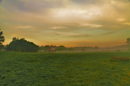 Bild-Nr: 10077229 pastellnebel Erstellt von: Jens Kalanke