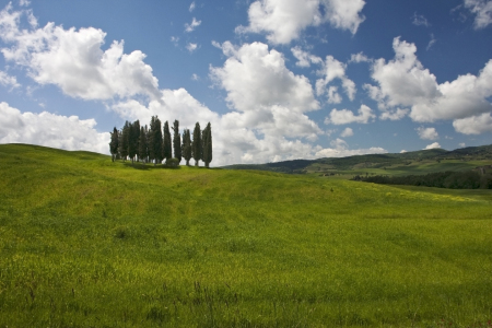 Bild-Nr: 10086267 toscana, impression Erstellt von: rokla