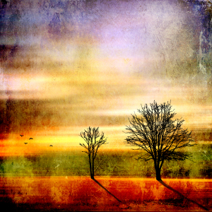 Bild-Nr: 10089057 The two trees (Modern-Vintage) Erstellt von: yammay