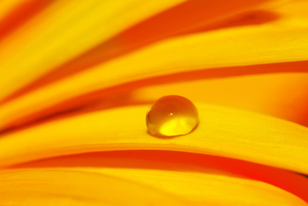 Bild-Nr: 10090337 Tropfen Erstellt von: Atteloi