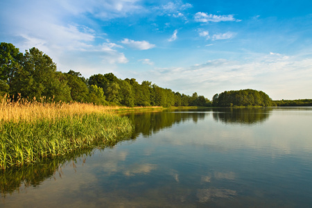 Bild-Nr: 10095474 Feldberger Seenlandschaft Erstellt von: Rico Ködder