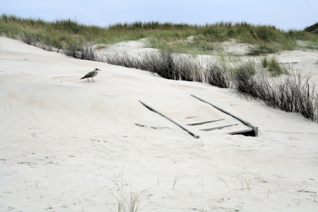 Bild-Nr: 10104106 Strand Feeling - Norderney  Erstellt von: Galerie-Fotoeffekt