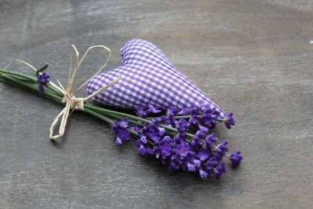 Bild-Nr: 10104786 Lavendel Erstellt von: ninami