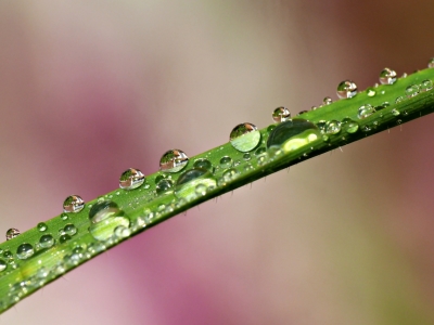 Bild-Nr: 10108516 Wassertropfen Erstellt von: gabii40