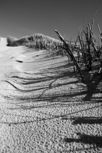 Bild-Nr: 10110896 DUNE Erstellt von: csausbs