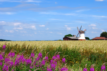 Bild-Nr: 10126918 Landschaft mit Windmühle Erstellt von: bessi