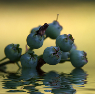 Bild-Nr: 10128186 Frische Beeren Erstellt von: birdy