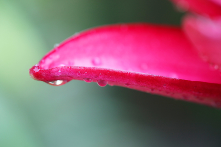 Bild-Nr: 10134724 After the Rain has gone... Erstellt von: FotoDeHRO