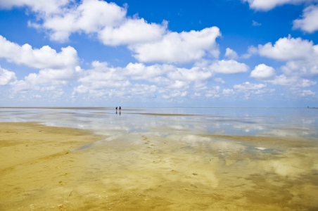 Bild-Nr: 10134972 Sandbank Erstellt von: Fuchsmedia