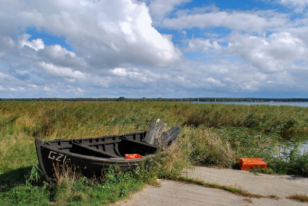 Bild-Nr: 10137400 Boddenlandschaft Insel Rügen Erstellt von: bessi