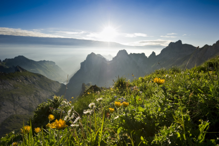 Bild-Nr: 10137910 Sonnenaufgang Erstellt von: danielschoenen