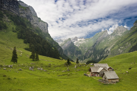 Bild-Nr: 10144546 neulich auf der Alm Erstellt von: danielschoenen