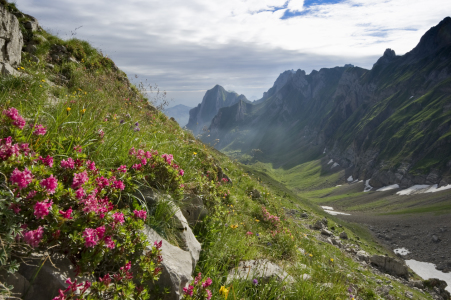 Bild-Nr: 10146904 Alpstein Erstellt von: danielschoenen