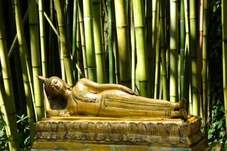 Bild-Nr: 10152526 Buddha im Bambus Erstellt von: oldtimer