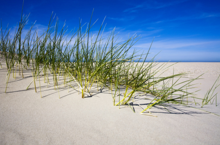Bild-Nr: 10157748 Dünen und Meer Erstellt von: Timo Geble