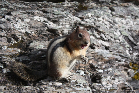 Bild-Nr: 10161098 Ey, warum fotografierst Du mich? Erstellt von: Josephine999