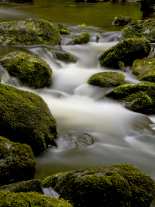 Bild-Nr: 10161422 Devils Glen, Co. Wicklow, Irland Erstellt von: Stefan Friedhoff