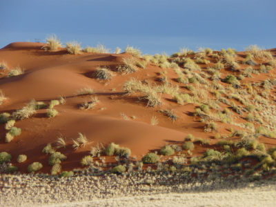 Bild-Nr: 10171333 Wüste Erstellt von: kalkgrund