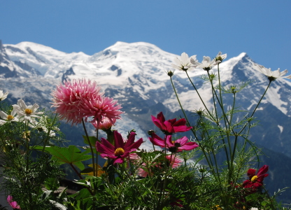 Bild-Nr: 10187987 * Mont Blanc * Erstellt von: GUGIGEI