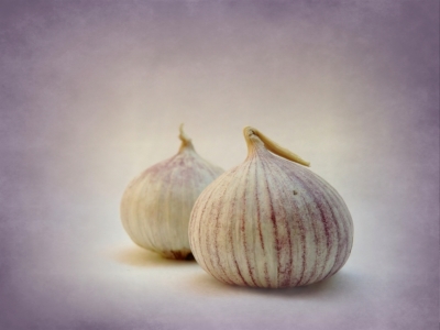 Bild-Nr: 10191101 garlic II Erstellt von: Anja Otto