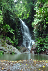 Bild-Nr: 10196589 Rainforest Waterfall Erstellt von: MSPictures