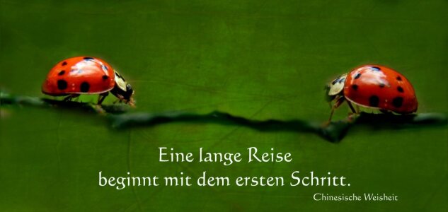 Bild-Nr: 10199285 Eine lange Reise ...  Erstellt von: Heike  Hultsch