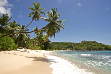 Bild-Nr: 10202149 Traumstrand Anse Takamaka im Sueden der Insel Mahe Erstellt von: reisefoto