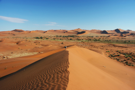 Bild-Nr: 10202551 Namib - Big Daddy von oben Erstellt von: Manuel Schulz