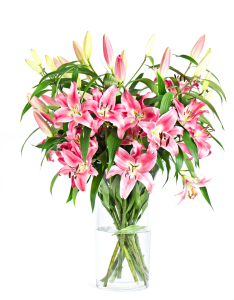 Bild-Nr: 10205473 Lilien. Blumenstrauss.  Erstellt von: Liligraphie