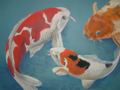 Bild-Nr: 10206731 Koi - Karpfen Erstellt von: Art2010