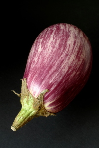 Bild-Nr: 10211049 Aubergine Erstellt von: Rolf Eschbach