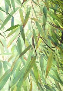 Bild-Nr: 10217495 Green bamboo no. 2 Erstellt von: Heidemarie Sattler