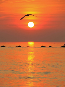 Bild-Nr: 10240959 Sonnenuntergang an der Ostsee Erstellt von: Manuel Schulz
