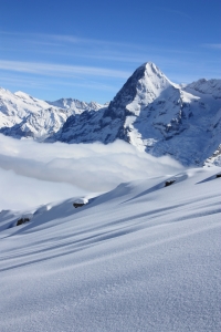 Bild-Nr: 10256477 Pulverschnee mit Eiger Erstellt von: Bettina Schnittert