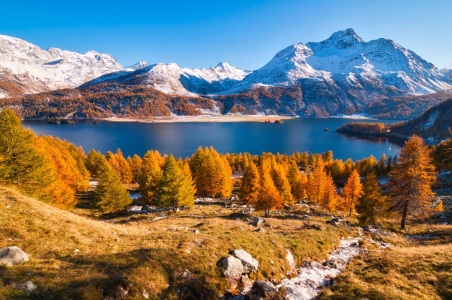 Bild-Nr: 10270123 Engadin im Herbst Erstellt von: suteracher