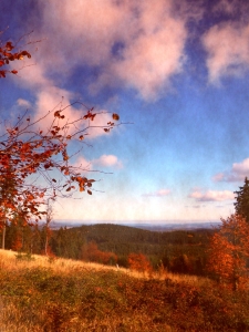 Bild-Nr: 10278857 autumnal colours Erstellt von: PaulaPanther