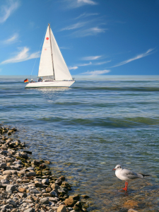 Bild-Nr: 10282115 Segelboot und Möwe an der Küste Erstellt von: Mausopardia