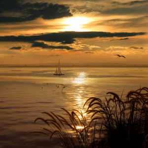 Bild-Nr: 10283945 Goldene Abendstunde am See Erstellt von: Mausopardia