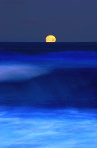 Bild-Nr: 10296051 Der Mond und das Meer Erstellt von: hannes cmarits