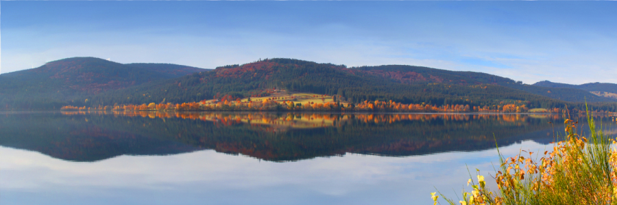 Bild-Nr: 10298027 Am Schluchsee Erstellt von: Gerhard Albicker