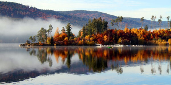 Bild-Nr: 10305769 Herbstfarben Erstellt von: Gerhard Albicker