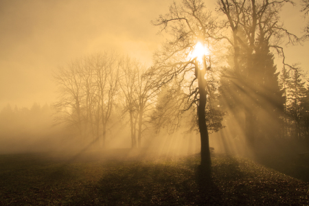 Bild-Nr: 10309129 Herbstnebel Erstellt von: Fotostyler