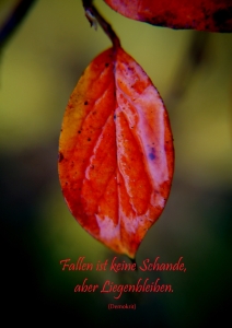 Bild-Nr: 10326877 Fallen Erstellt von: youhaveadream