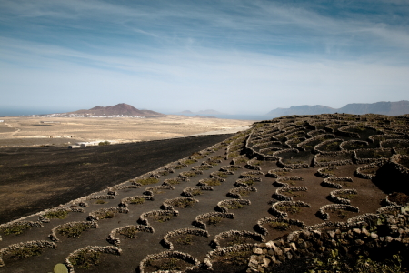 Bild-Nr: 10331677 Lanzarote Erstellt von: Albrecht Schlotter