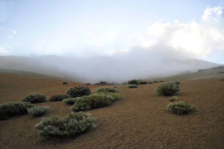 Bild-Nr: 10332815 mystik am el teide Erstellt von: ralf werner froelich