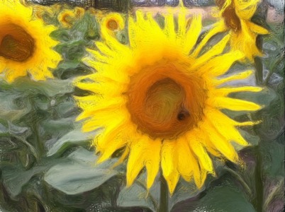 Bild-Nr: 10336157 Sonneblumenfeld Erstellt von: Roland Richter