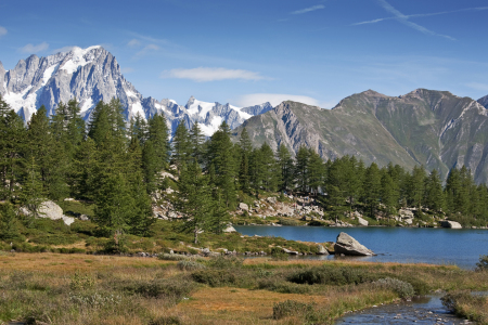 Bild-Nr: 10363397 Grandes Jorasses und Lac d Arpy Erstellt von: EderHans