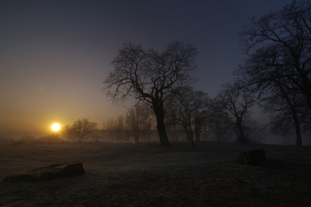 Bild-Nr: 10373239 Novembernebel I Erstellt von: LichtBildGestalter