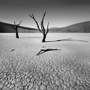 Bild-Nr: 10376349 Dead Vlei Erstellt von: sensorfleck